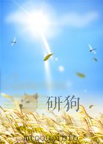 科技文献索引 特种文献部分 机械制造原理与工艺 第7期 1963 PDF电子版封面