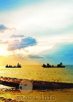 农业生产  第5卷  第11期   1950  PDF电子版封面     