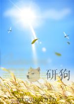 计量技术快报  第10期  总第72期   1965  PDF电子版封面     