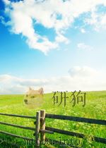 江西林业  第1期  总第49期（1958 PDF版）