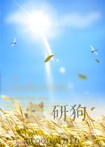 捷克斯洛伐克新闻公报 第12期 1956 PDF电子版封面