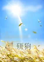 化工技术情况报导 第7-8期 1959 PDF电子版封面