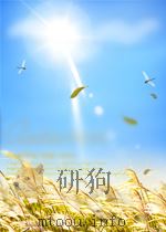 福建农业  第3期   1961  PDF电子版封面  04298047   