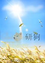 林业科学技术快报 第1期 1959 PDF电子版封面