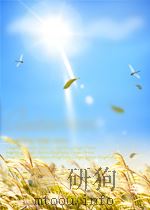 高分子材料快报 第12期 1960 PDF电子版封面