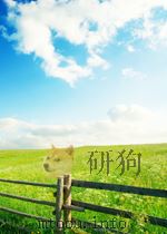 青海农林  第13期（1960 PDF版）