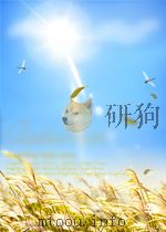 农业技术  第19期  总第63期（1953 PDF版）