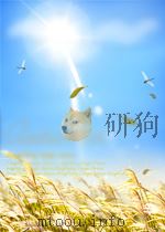 生物学文摘 第一分册 第11期 1963 PDF电子版封面