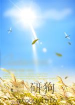 水利工程快报  第20期  总第164期   1965  PDF电子版封面     