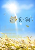水利与电力 第8期 总第126期 1964 PDF电子版封面