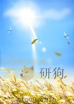 水利与电力  第4期  总第74期   1962  PDF电子版封面     