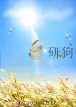 土壤 第12期 总第15期 1959 PDF电子版封面