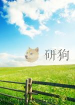 物理译丛 固体物理 光学及其它 第4期 1965 PDF电子版封面