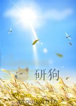 辽宁农业  第19期  总第50期（1960 PDF版）