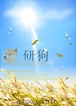 锅炉与透平快报 第14期 总第62期 1965 PDF电子版封面