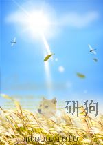 水利学报 第3期 1958 PDF电子版封面 05599350