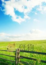 机械制造文摘  42501-44675  第20期   1957  PDF电子版封面     