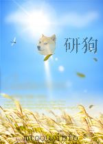 有机化学工业技术报导 第3卷 第7期 总第24期 1960 PDF电子版封面