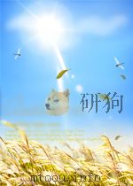 半导体快报 第23期 1959 PDF电子版封面