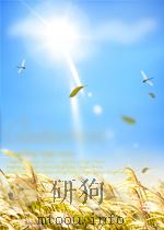 中华医学杂志 第49卷 第9期 1963 PDF电子版封面 03762491