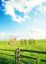 国外稀有金属动态 第22期 1965 PDF电子版封面