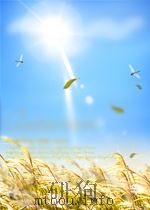 科技消息  物理学、力学、数学、天文、地学和土建水利分册  第12期  总第73期   1962  PDF电子版封面     