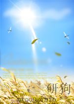 青海湖  第10期  总第26期   1958  PDF电子版封面  05293510   