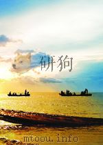 青年力学协会第二届年会论文集  第一集  基于随机场局部平均的随机有限元法在随机特征值问题中的应用     PDF电子版封面    吴伟强 