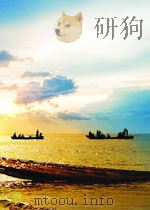 A DICTIONARY OF CHEMICAL EQUATIONS     PDF电子版封面     