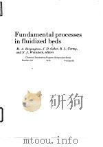 American Institute of Chemical Engineers.Fundamental processes in fluidized beds.1970.（ PDF版）