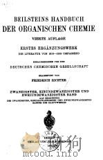 BEILSTEINS HANDBUCH DER ORGANISCHEN CHEMIE     PDF电子版封面     