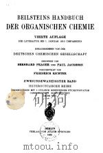 BEILSTEINS HANDBUCH DER ORGANISCHEN CHEMIE PDF电子版封面