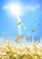 Chemical Conversion Coatings 16     PDF电子版封面     
