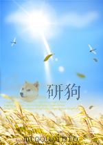 HANDBOOK OF PHYSICS PDF电子版封面