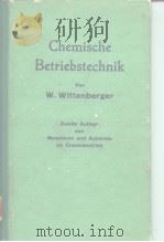 Chemische Betriebstechnik     PDF电子版封面    W.Wittenberger 