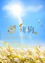 Pactical Television PDF电子版封面