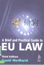 A Brief and Practical Guide to EU LaW PDF电子版封面 0632051841