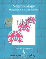 Neurobiolgy:Molecules Cells and Systems PDF电子版封面 0865424047