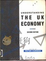 UNDERSTANDING THE UK ECONOMY PDF电子版封面 0333574443