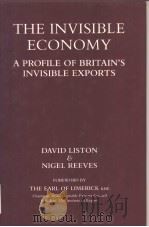 The invisible economy:a profile of Britain's invisible exports     PDF电子版封面  0273027042   