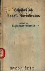 STUDIES ON FOSSIL VERTEBRATES presented to David Meredith Seares Watson PDF电子版封面