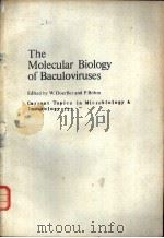 Current Topics in Microbiology and Immunology 131 The Molecular Biology of Baculoviruses PDF电子版封面 0387170731