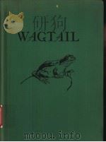 WAGTAIL PDF电子版封面