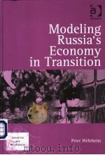 Modeling Russia's Economy in Transition     PDF电子版封面  0754632997   