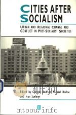 CITIES AFTER SOCIALISM PDF电子版封面 155786165X