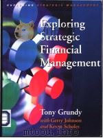 Exploring strategic financial management     PDF电子版封面  0135701023   