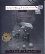 Fundamentals of Managerial Economic PDF电子版封面