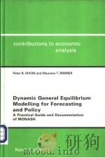 Dynamic General Equilibrium Modelling for forecasting and Policy     PDF电子版封面  0444512608   