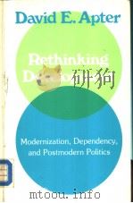 Rethinking Development     PDF电子版封面     
