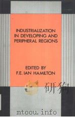 INDUSTRALIZATION IN DEVELOPING AND PERIPHERAL REGIONS     PDF电子版封面  0709938776   